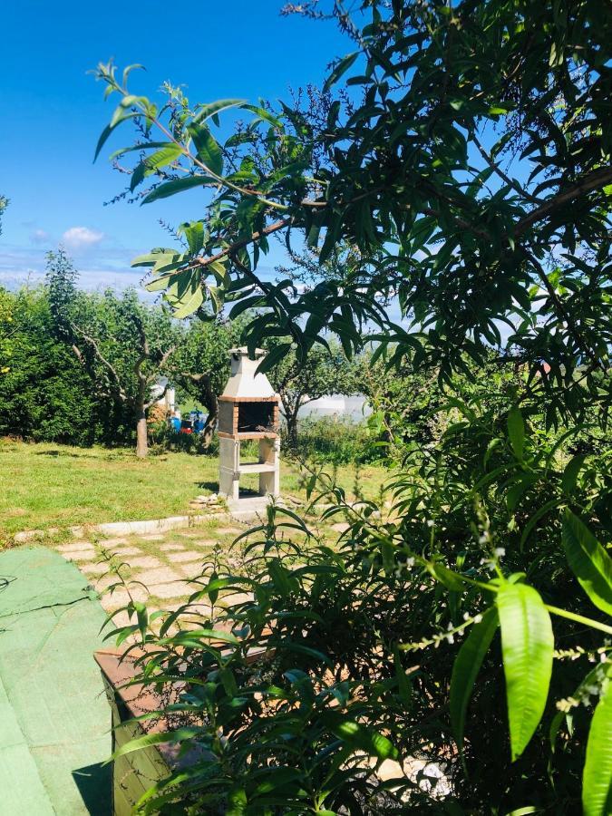 Camelia Casina Rural Villa Albuerne ภายนอก รูปภาพ