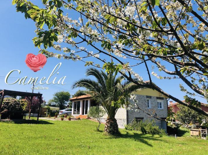 Camelia Casina Rural Villa Albuerne ภายนอก รูปภาพ
